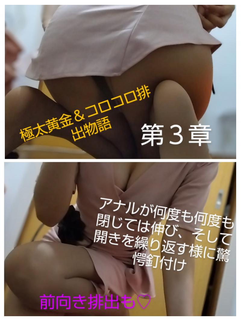出品者名-写真